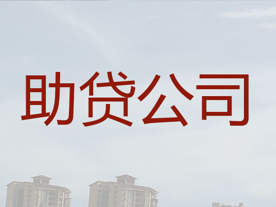 樟树市信用贷款-抵押担保贷款